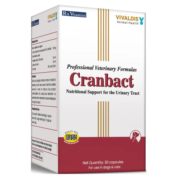 Cranbact Nutritional Support for The Urinary Tract for Dogs and Cats