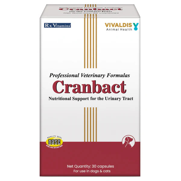 Cranbact Nutritional Support for The Urinary Tract for Dogs and Cats