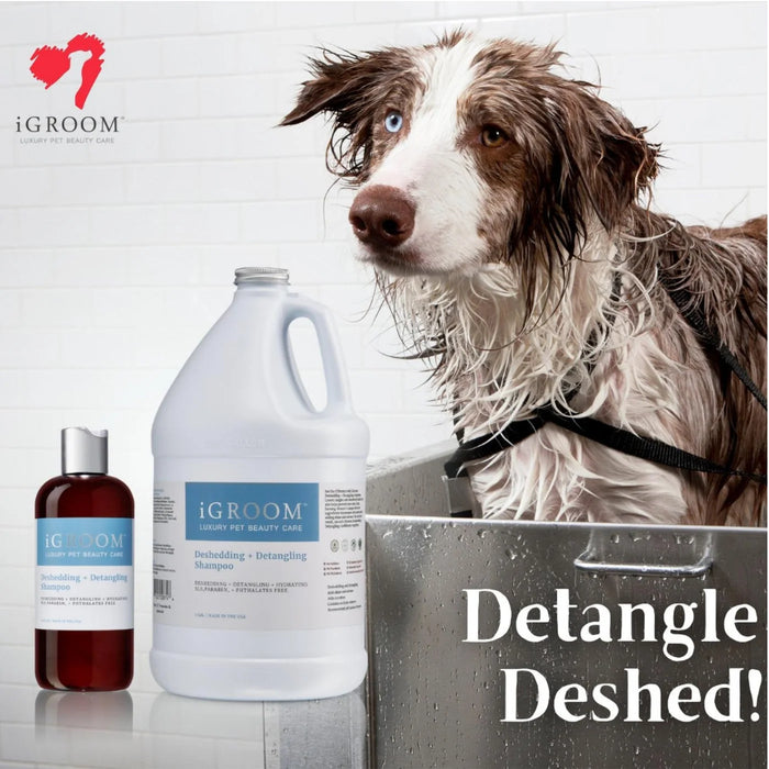 iGroom Deshedding + Detangling Pet Shampoo