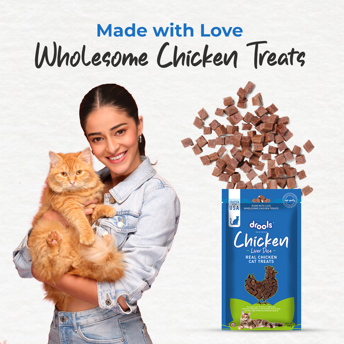 Drools Chicken Liver Dice Treats for Cat