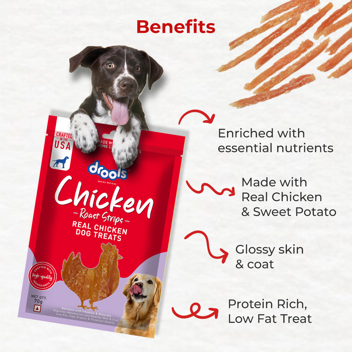 Drools Chicken Roast Strips Treats for Dog