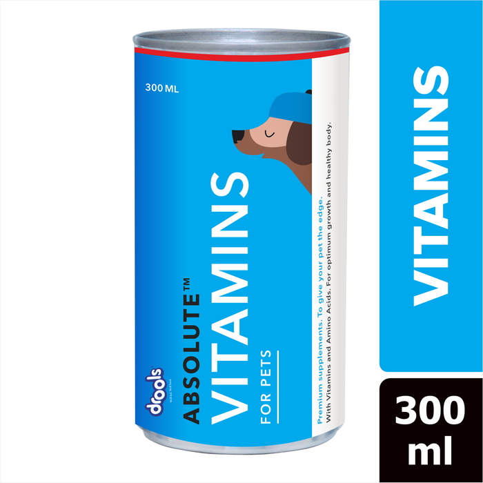 Drools Absolute Vitamin Syrup for Dog
