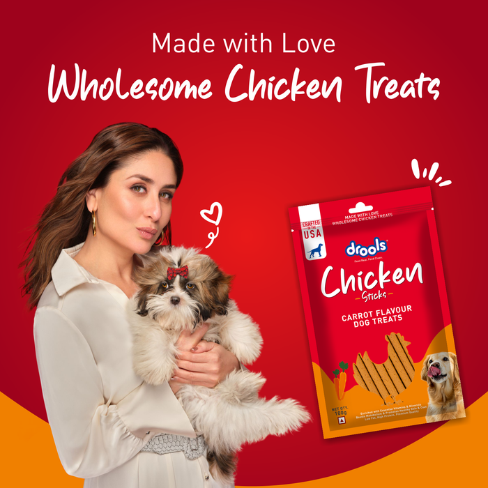 Drools Real Chicken Flavor Treats Sticks for Dog