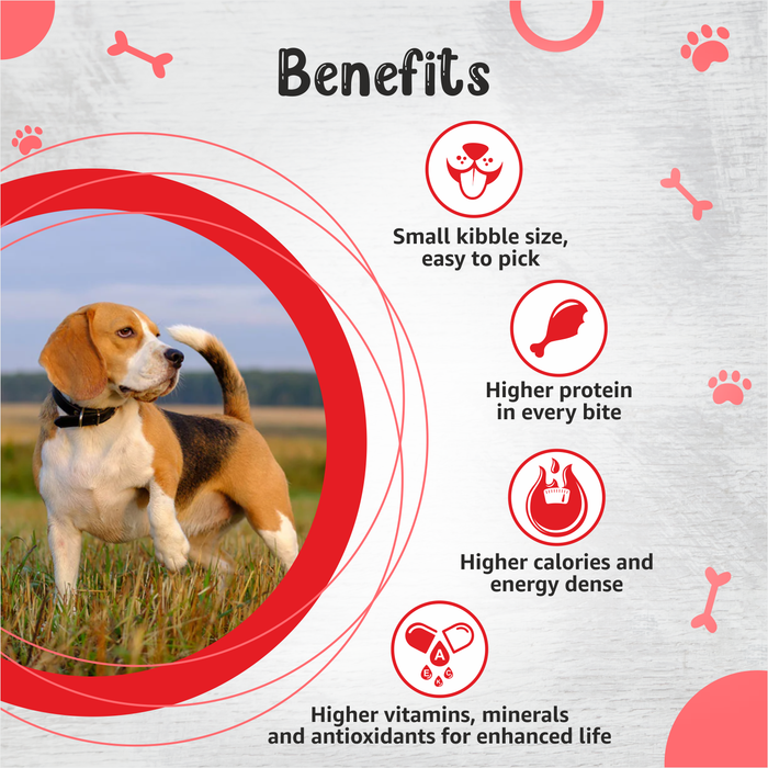 Drools Small Breed Adult Food for Dog