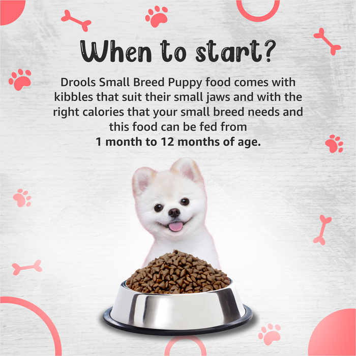 Drools Small Breed Puppy Food for Dog
