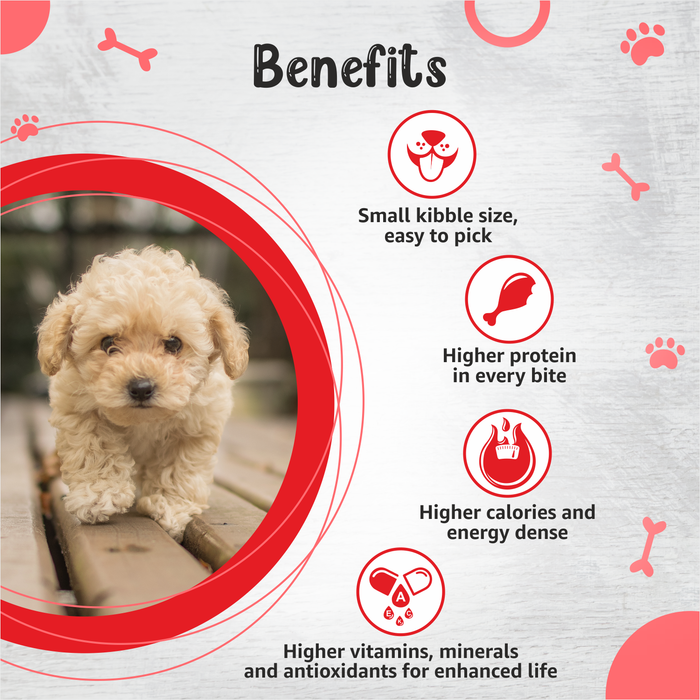 Drools Small Breed Puppy Food for Dog