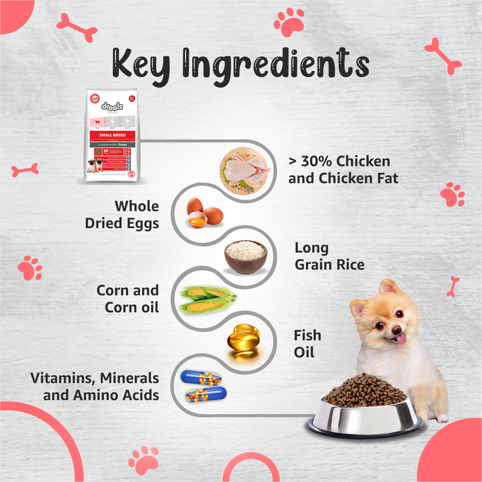 Drools Small Breed Puppy Food for Dog