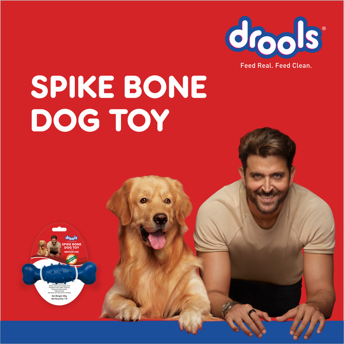 Drools Spike Bone Toy for Dog