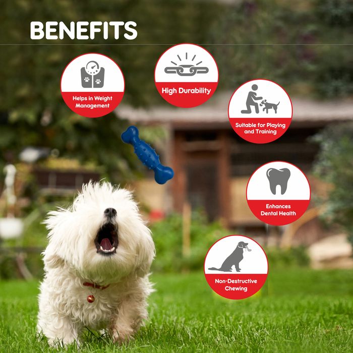 Drools Spike Bone Toy for Dog