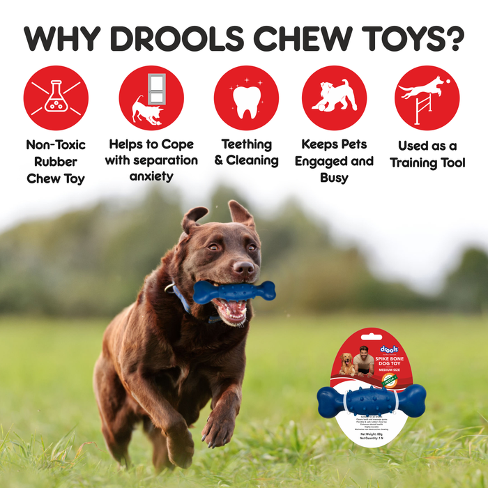 Drools Spike Bone Toy for Dog