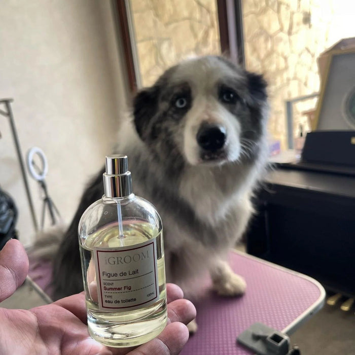 iGroom Figue De Lait Pet Perfume