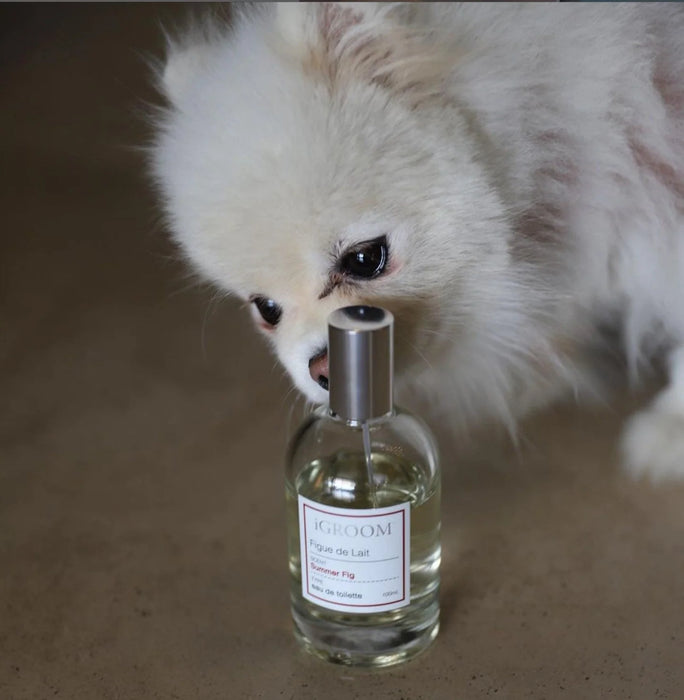 iGroom Figue De Lait Pet Perfume