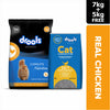 Drools Cat Real Chicken Food for Cat