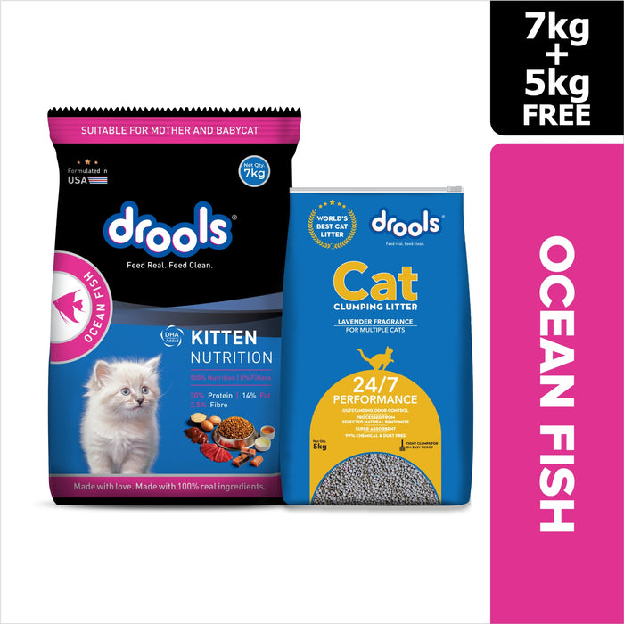 Drools Kitten Ocean Fish Food for Cat