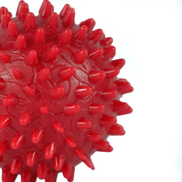 Drools Non-Toxic Rubber Stud Spike Hard Ball Chew Toy for Dog