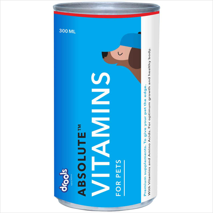 Drools Absolute Vitamin Syrup for Dog