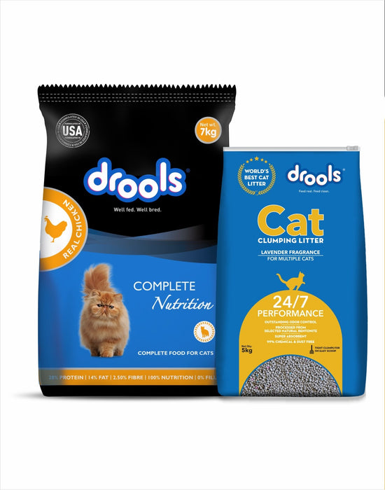 Drools Cat Real Chicken Food for Cat