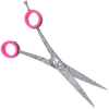 Groom Professional Astrid Left Curved Scissor and Case