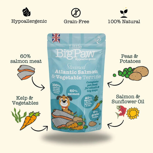 Little Big Paw Atlantic Salmon and Vegetable Wet Dog Food 150g