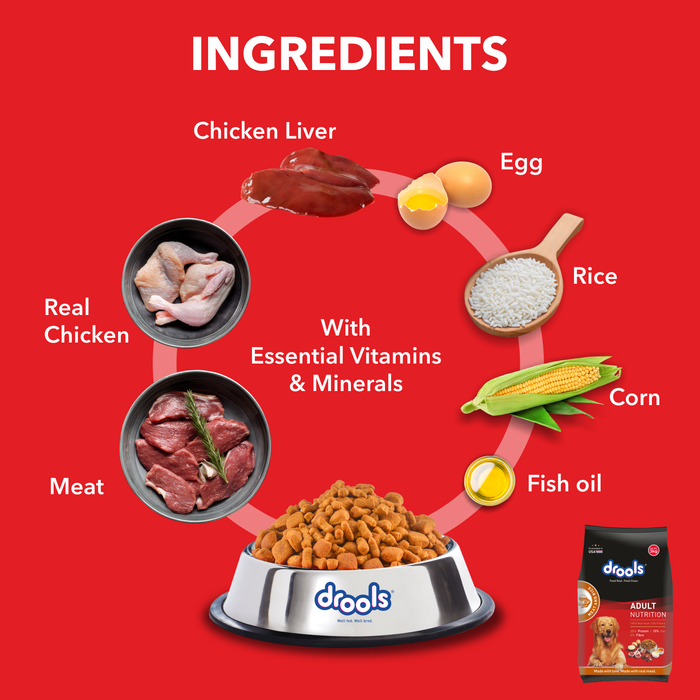 Drools Adult Dry Dog Food Meat and Rice for Dog