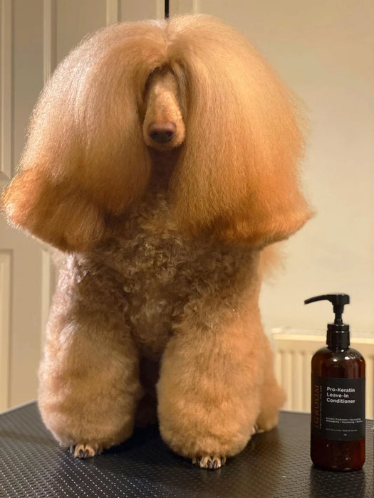 iGroom Pro-Keratin Leave-in Pet Conditioner
