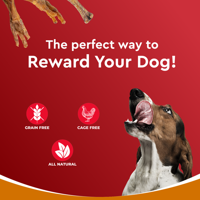 Drools Dehydrated Real Chicken Chews Feet Treats for Dog