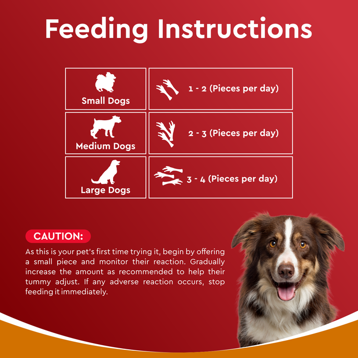 Drools Dehydrated Real Chicken Chews Feet Treats for Dog