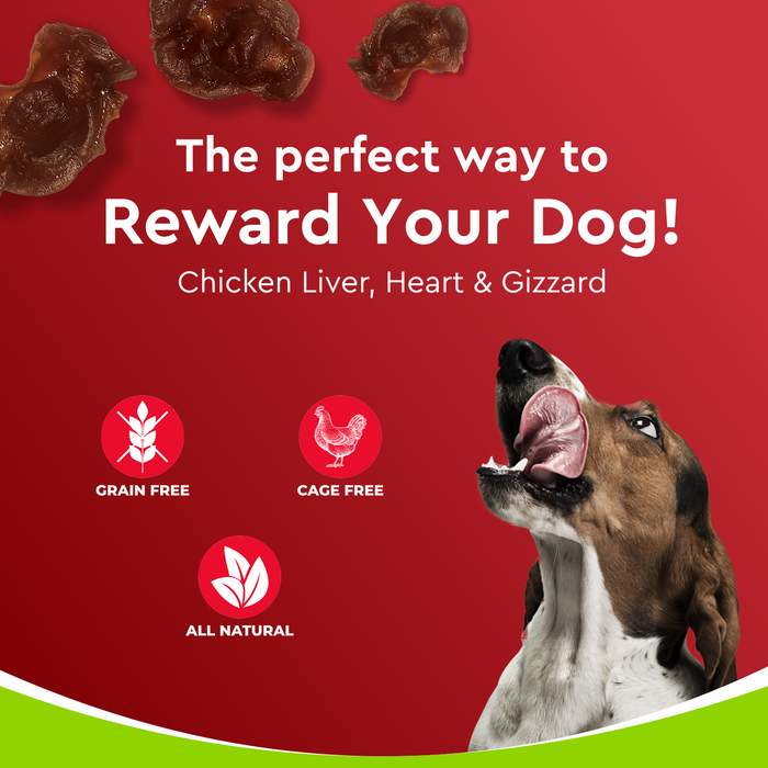 Drools Dehydrated Real Chicken Chews Giblets Treats for Dog