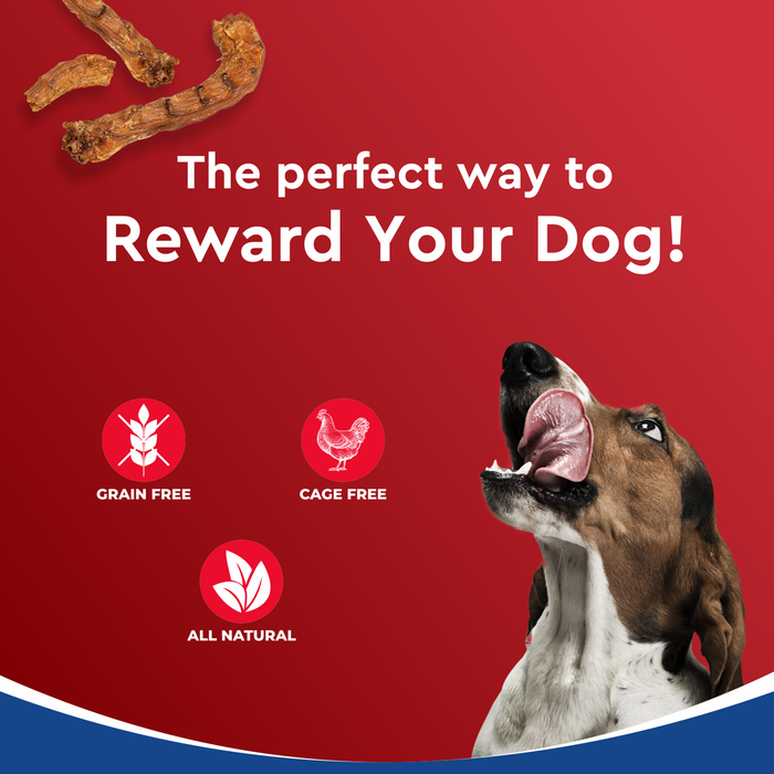 Drools Dehydrated Real Chicken Chews Necks Treats for Dog