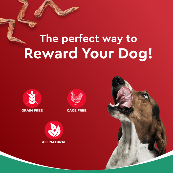 Drools Dehydrated Real Chicken Chews Wings Treats for Dog