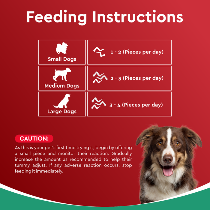 Drools Dehydrated Real Chicken Chews Wings Treats for Dog