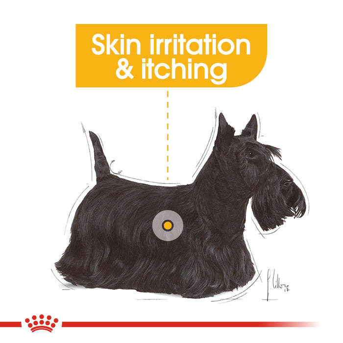 Royal Canin Derma Comfort Mini for Small Dogs