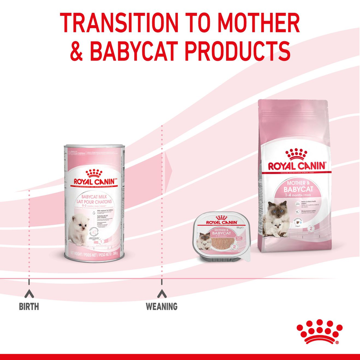 Royal Canin Baby Cat Milk Formula