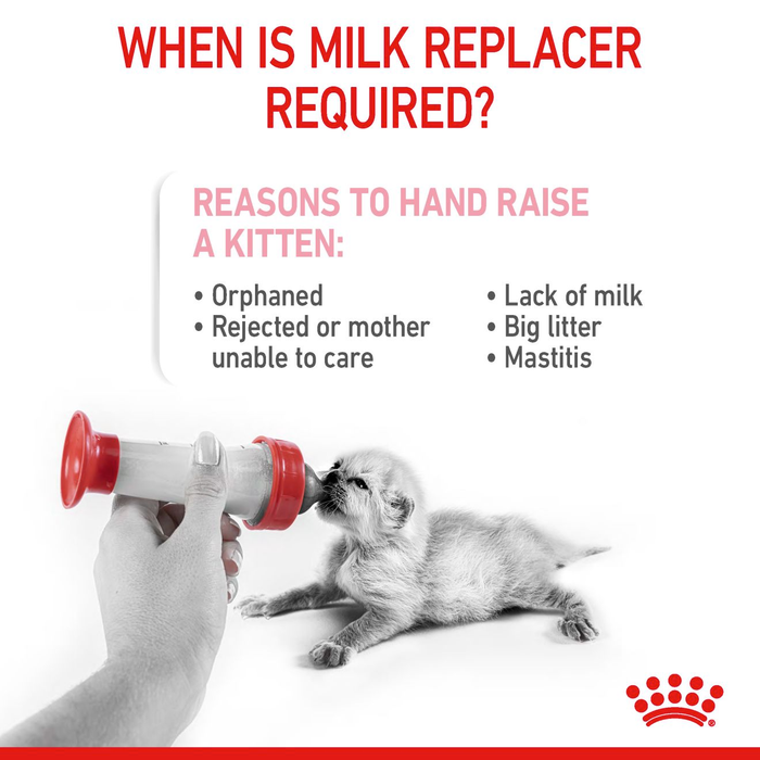 Royal Canin Baby Cat Milk Replacer