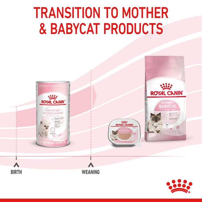 Royal Canin Milk Formula for Kittens