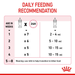 Royal Canin Baby Cat Milk Powder