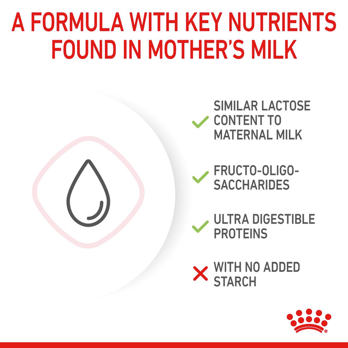 Royal Canin Milk for Newborn Kittens