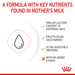 Royal Canin Milk for Newborn Kittens