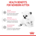 Royal Canin Baby Cat Milk Supplement