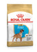 Royal Canin Boxer Puppy Dog Food