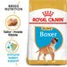 Royal Canin Boxer Puppy Food