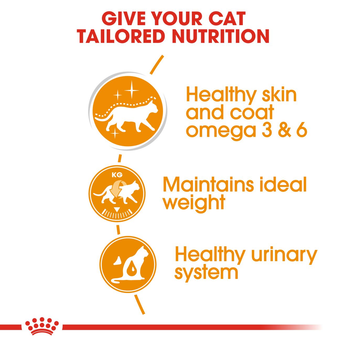 Royal Canin Intense Beauty Adult Cat Food
