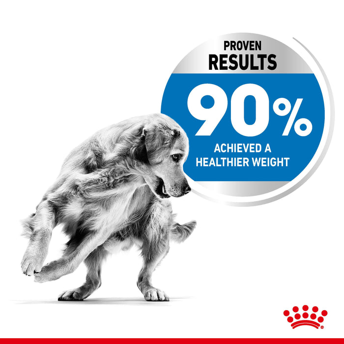 Royal Canin Light Weight Care Maxi Dog Food