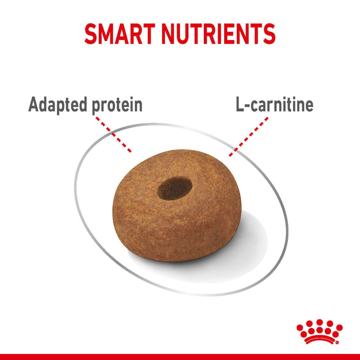 Royal Canin Light Weight Care Maxi Dog Food