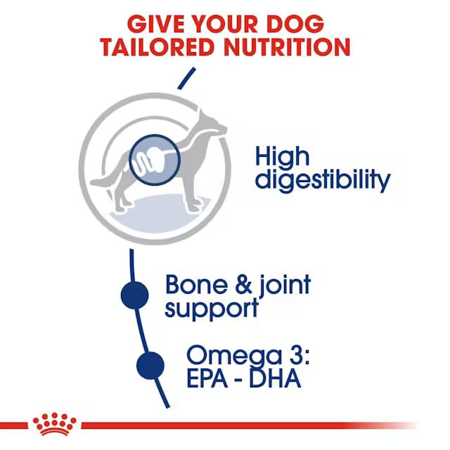 Royal Canin Maxi Adult Dog 5+ Dry Food
