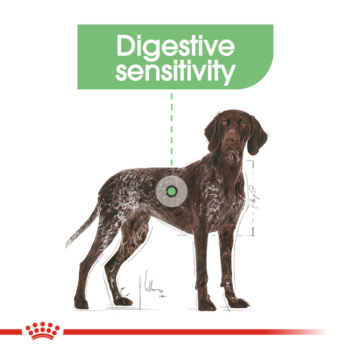 Royal Canin Maxi Digestive Care Dog Food