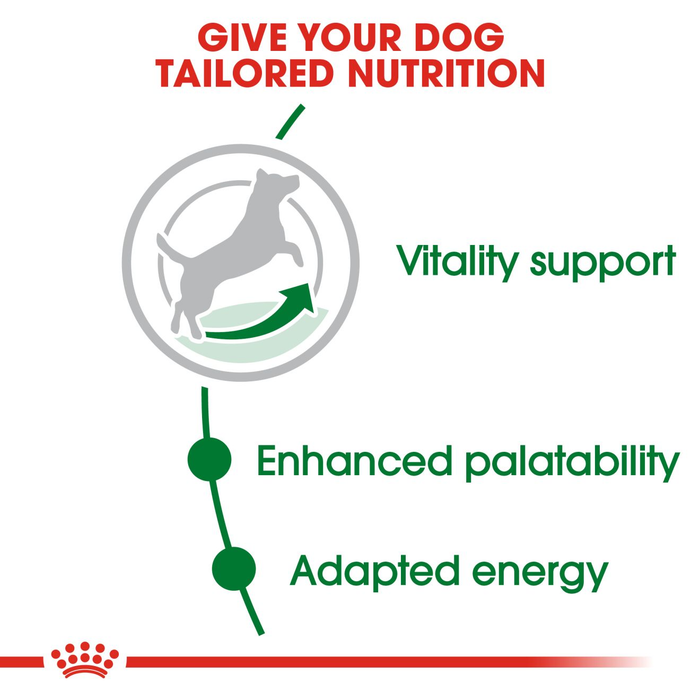 Royal Canin Mini Adult Dog Food for Dogs 8+ Years of Age