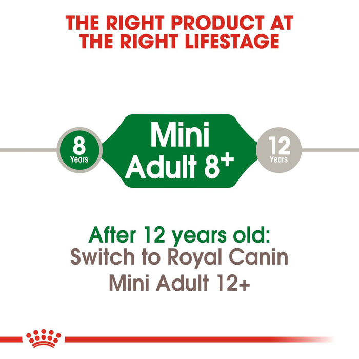 Royal Canin Mini Adult Dog Food for Dogs 8+ Years of Age