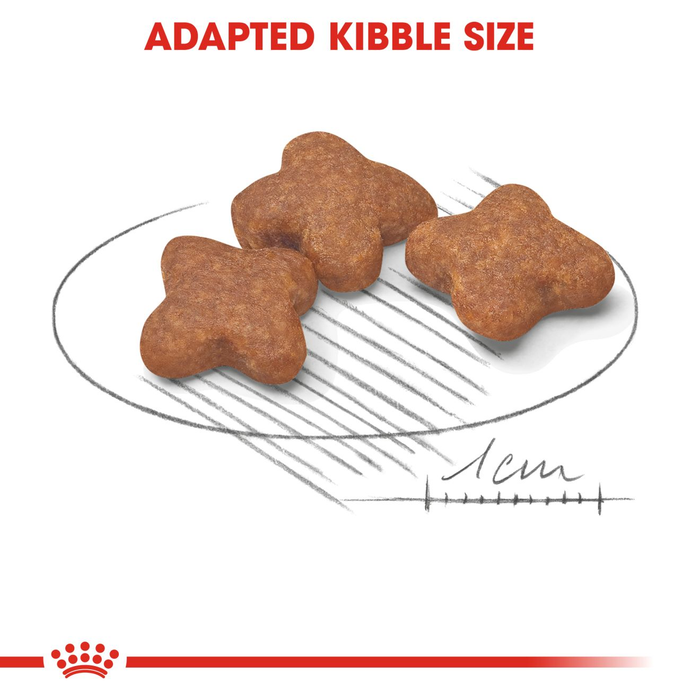 Royal Canin Mini Adult Dog Food for Dogs 8+ Years of Age