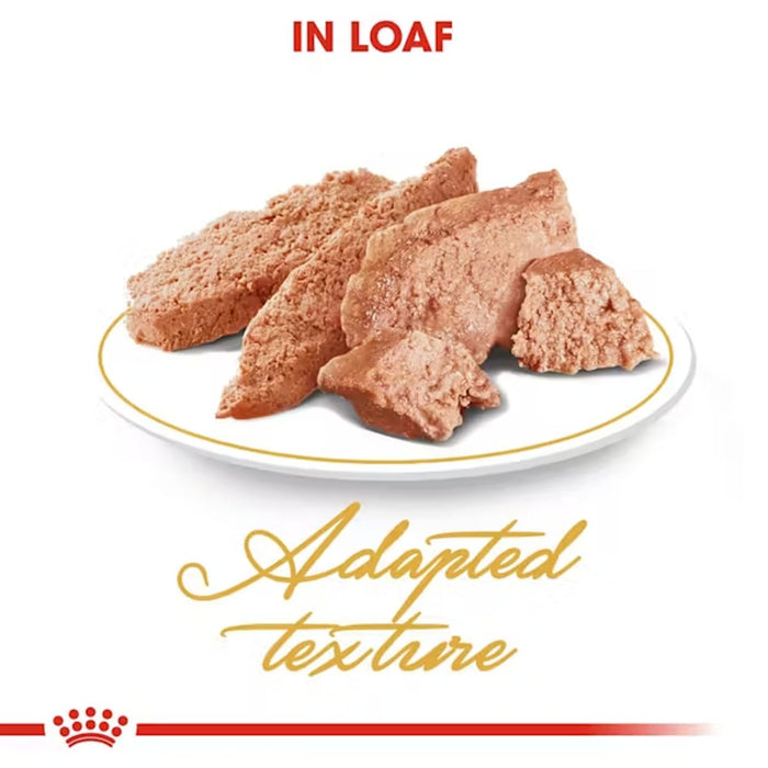 Royal Canin Wet Food for Persian Adult Cats